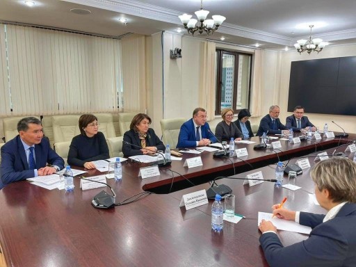 The Ministry of Health of the Republic of Kazakhstan and the State Budget Fund discussed the implementation of grants for HIV and tuberculosis components